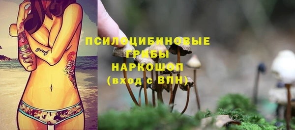 а пвп мука Беломорск