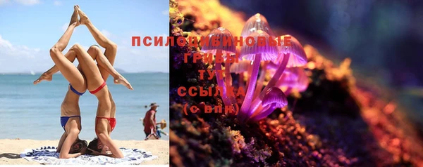 мяу мяу мука Бугульма