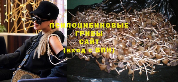 круглые Бородино