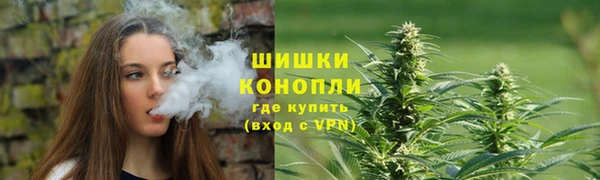 круглые Бородино