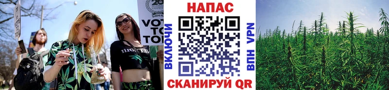 Конопля планчик  Карачев 